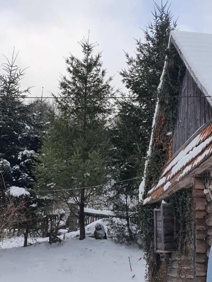 Хатина Біля Потока Villa Lumshory Bagian luar foto