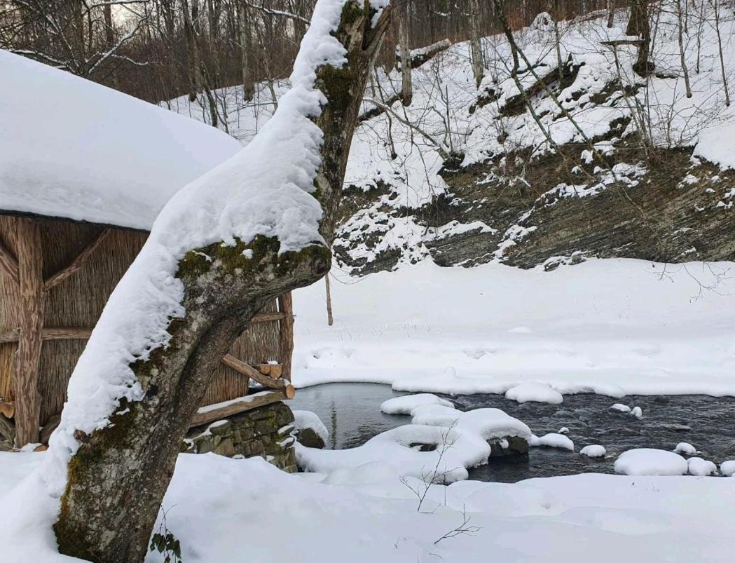 Хатина Біля Потока Villa Lumshory Bagian luar foto